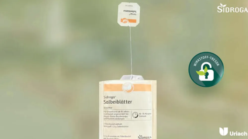 ® Salbeiblättertee>Sidroga Clearance
