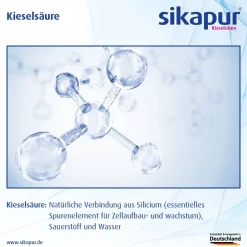 ® Kieselsäure-Gel|Sikapur Sale