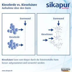 ® Kieselsäure Softgel-Kapseln><noscript><img width=