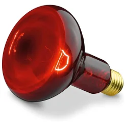 SIL 06 Infrarotlampe mit Schutzgitter> Hot