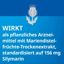 Silymarin STADA® 156 mg Hartkapseln Mariendistelfrüchte-Trockenextrakt standardisiert auf 156 mg Silymarin| Best