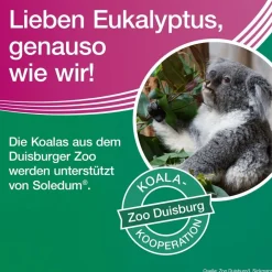 ® addicur zur Zusatzbehandlung bei COPD und Asthma|Soledum Discount