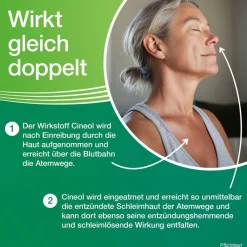 ® Balsam bei Erkältungskrankheiten der Atemwege><noscript><img width=