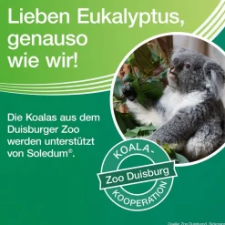 ® Balsam bei Erkältungskrankheiten der Atemwege><noscript><img width=