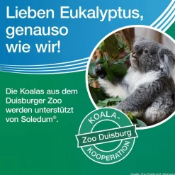 ® forte  Kapseln bei Erkältung, Bronchitis & Sinusitis|Soledum