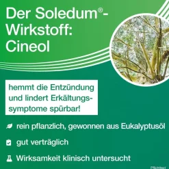 Soledum® Kapseln bei Erkältung, Bronchitis & Sinusitis|Soledum Kapseln Clearance