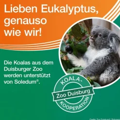 ® Kapseln junior bei Erkältung, Bronchitis & Sinusitis><noscript><img width=