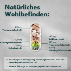 SOLVISAN® Meno Balance Wechseljahre  | Rotklee, Mönchspfeffer, Yamswurzel><noscript><img width=