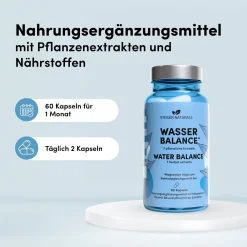 Wasser Balance, natürlicher Entwässerungs-Komplex><noscript><img width=