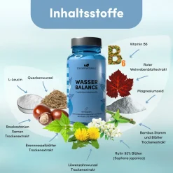 Wasser Balance, natürlicher Entwässerungs-Komplex><noscript><img width=