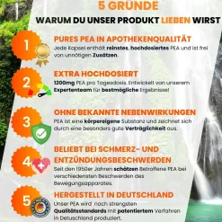 supplenatura Rheinland® - PEA (Palmitoylethanolamid) Kapseln| New