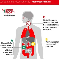 ® 1 Probiotika für die Bronchien und Atemwege|Symbioflor