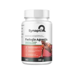 SynaptiQ® - Fadogia Agrestis| Outlet