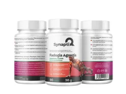 SynaptiQ® - Fadogia Agrestis| Outlet