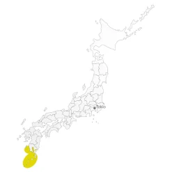 tea exclusive - Matcha Shizen Grüner Tee Japan bio| Sale