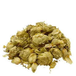tea4me BIO Hopfenblüten (Hopfenzapfen Tee) Kräuterwohl><noscript><img width=