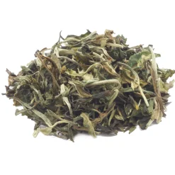 tea4me BIO Pai Mu Tan 