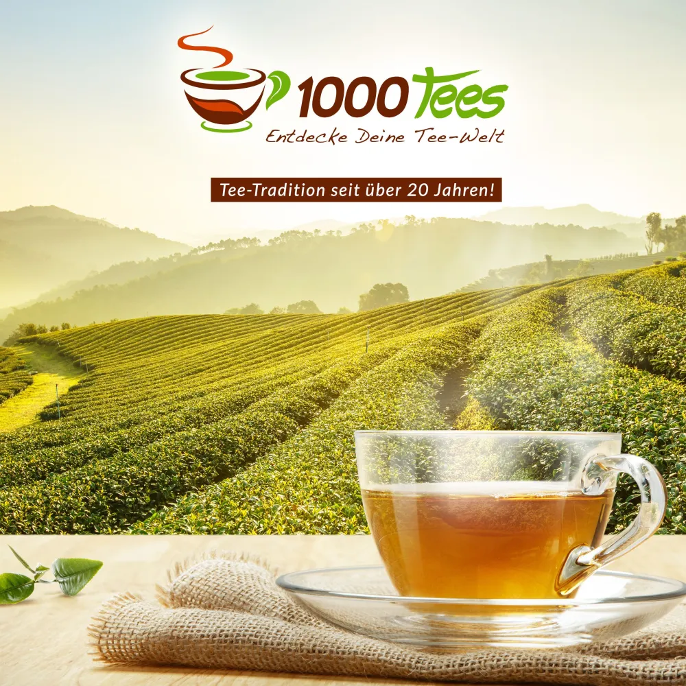 tea4me Ingwer Fresh Kräuterwohl Kräutertee mit Ingwer-Minze-Zitrone-Geschmack> Hot
