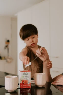 TeeFee - Erdbeerzauber Bio Früchtetee Kindertee| New