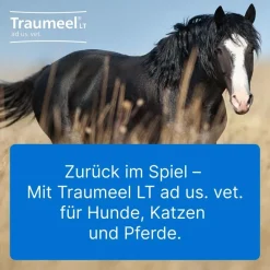 Traumeel® LT ad us. vet.><noscript><img width=