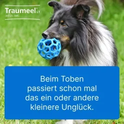 ® LT ad us. vet.|Traumeel New