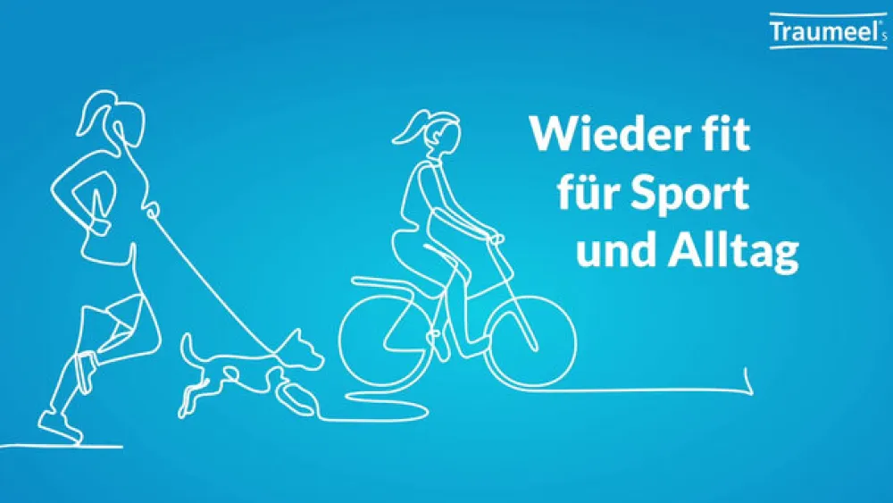 ® S Ampullen>Traumeel Sale
