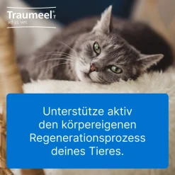 ® T ad us. vet.><noscript><img width=