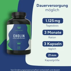® Cholinbitartrat Kapseln - Cholin hochdosiert - 3 Monate Vorrat>TRUE NATURE Discount