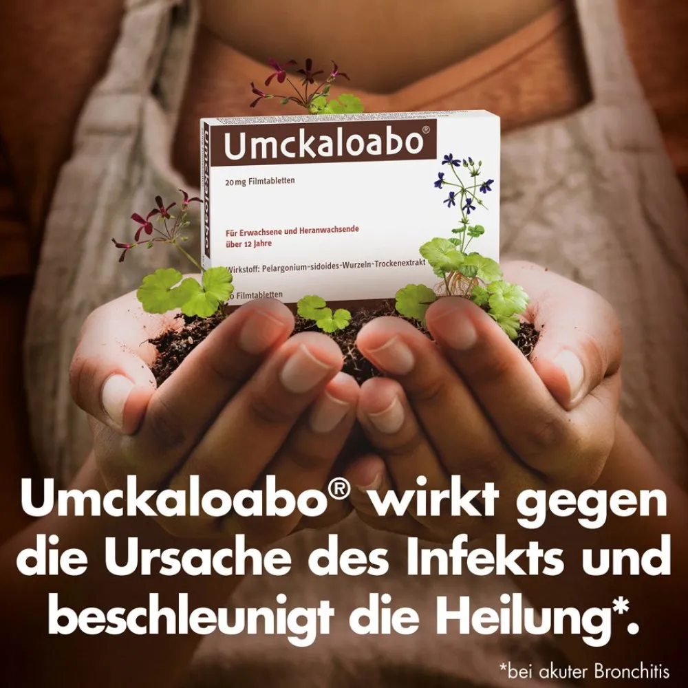 Umckaloabo® 20 mg Filmtabletten> Hot