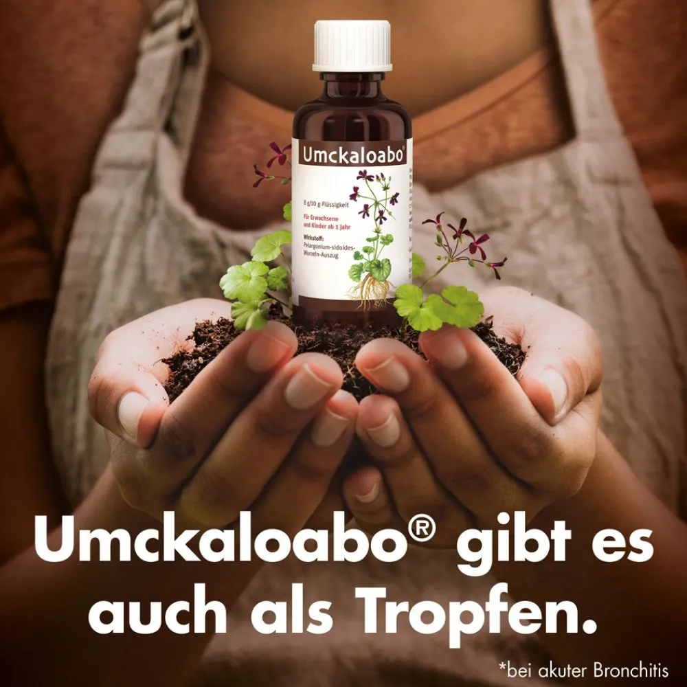 Umckaloabo® 20 mg Filmtabletten> Hot