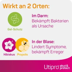 ® akut & protect><noscript><img width=