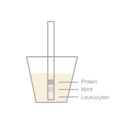 Vaginaler pH-Test und Harnwegsinfektionstest| Outlet