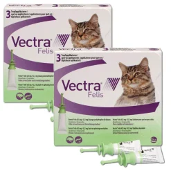 Vectra Felis 423mg/42,3mg  für Katzen| Online