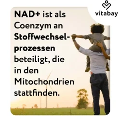 NAD+ 1000 mg  Trans-Resveratrol 600 mg liposomal - hochdosiert|vitabay Online