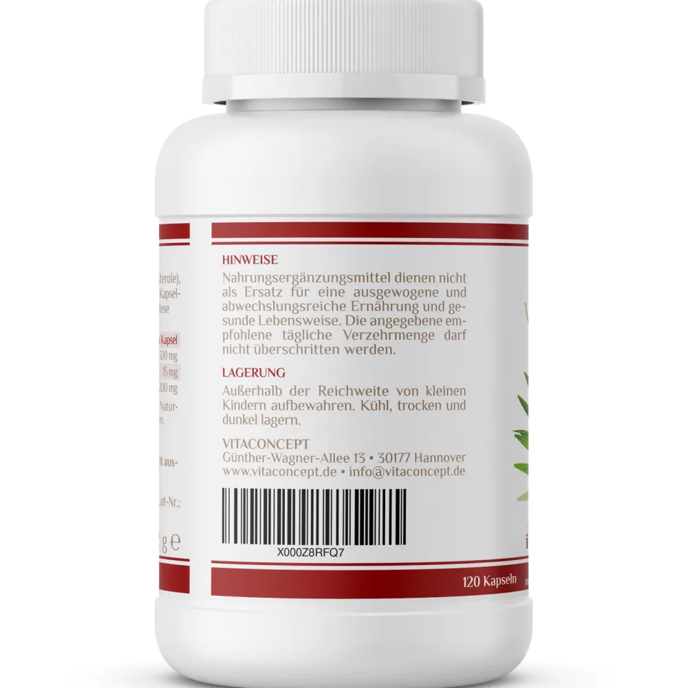 VITACONCEPT Sägepalme & Kürbiskern| Best