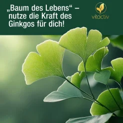 Ginkgo + Ginseng + B12>Vitactiv Clearance