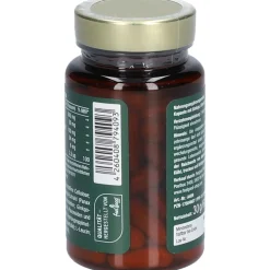 Ginkgo + Ginseng + B12><noscript><img width=