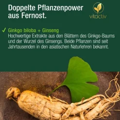 Ginkgo + Ginseng + B12><noscript><img width=