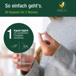 Vitactiv -  ROTER REIS (Monacolin K) + Cholin + Zink><noscript><img width=