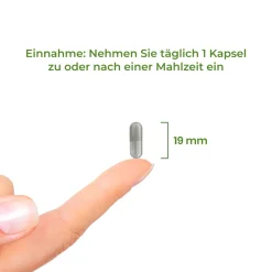 Vitality Nutritionals Eisen Bisglycinat Chelat| Sale