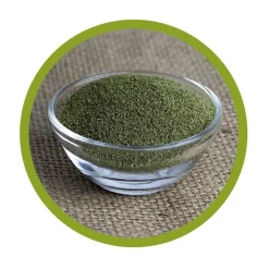 vitalundfitmit100® Bio Kelp Pulver| Online