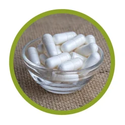 vitalundfitmit100® L-Carnosin Kapseln| New