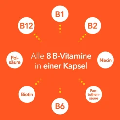 Vitamin B-Komplex-® Hartkapseln: Gut versorgt mit allen 8 B-Vitaminen in nur einer Kapsel. B-Vitamine für Energie* und Vitalität** - Jetzt 20% mit dem Code 20 sparen*><noscript><img width=