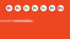 Vitamin B-Komplex-® Hartkapseln: Gut versorgt mit allen 8 B-Vitaminen in nur einer Kapsel. B-Vitamine für Energie* und Vitalität** - Jetzt 20% mit dem Code 20 sparen*><noscript><img width=
