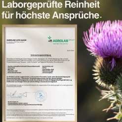 Vitapow Leber Komplex - Mariendistel, Artischocke, Löwenzahn, Cholin, Inositol| New