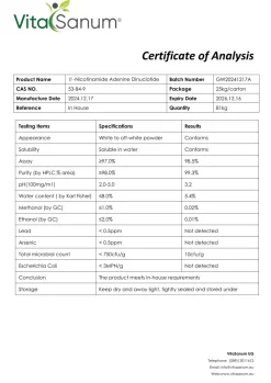 ®- NAD (Nicotinamide Adenine Dinucleotide)|VitaSanum Outlet