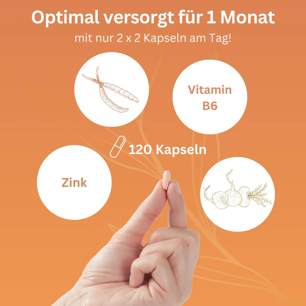 vitelly Cordyceps Woman® Zyklus Kapseln für Frauen mit Kinderwunsch ausreichend für einen Monat!> Online