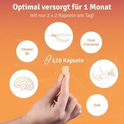 vitelly Pimp my Eggs Set für einen Monat| Outlet