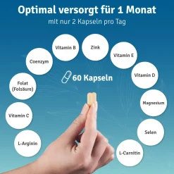 vitelly Pimp my Sperm Set für einen Monat – mit Cordyceps Man & ManToDad| Clearance