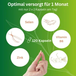vitelly Pimp my Sperm Set für einen Monat – mit Cordyceps Man & ManToDad| Clearance